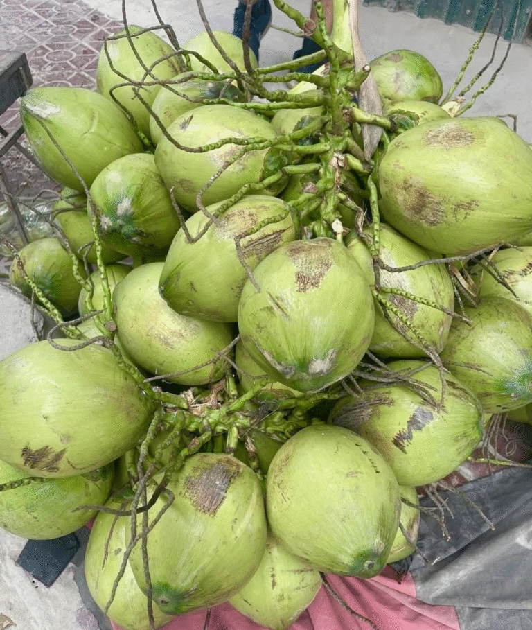 12 Shocking Truths About Coconut Water – Don’t Drink It Until You Know These!