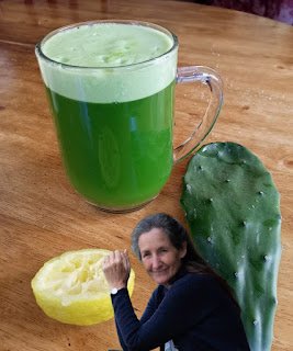 🌵🍋 Lemon and Nopal: A Natural Duo for Better Health
