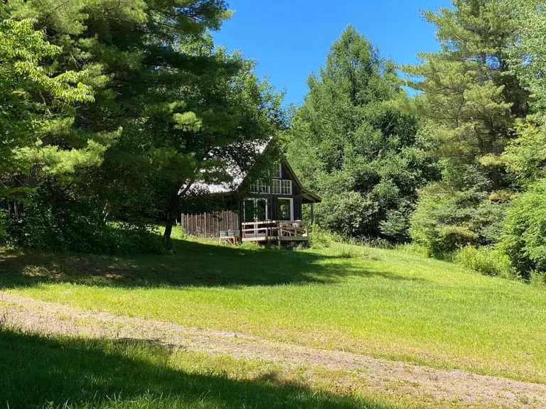 Catskills Tiny House Retreat with Mountain Views & Pond